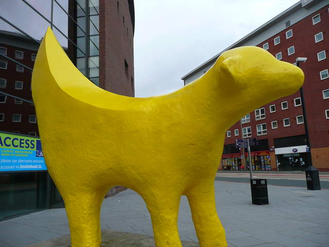 P1020468.JPG