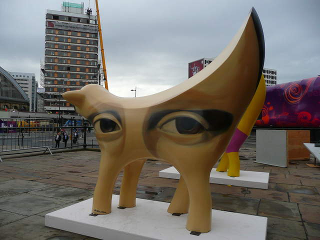 P1020572.JPG