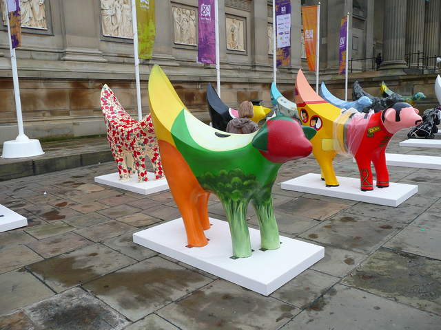 P1020574.JPG
