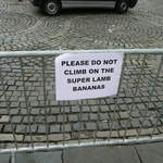 Please do not climb on the Super Lamb Bananas