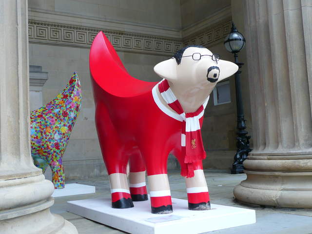 Baa Nitez