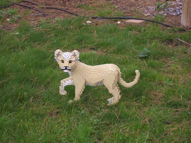 100_1152.jpg