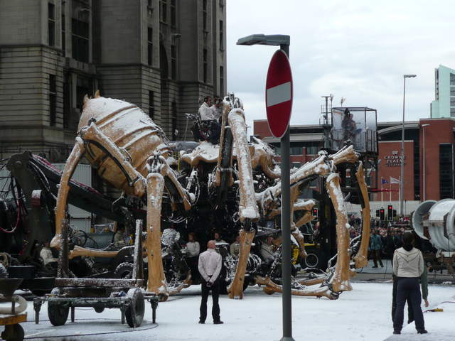 P1020339.JPG