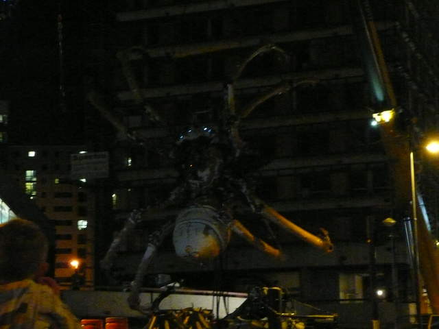 P1020413.JPG