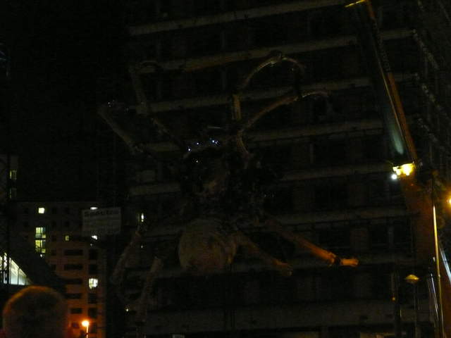 P1020415.JPG