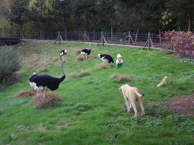 100_1153.jpg