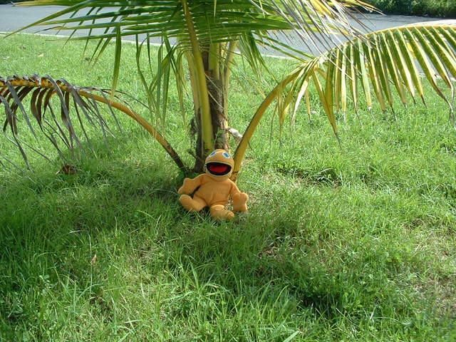 Hooray! Made it to Puerto Rico in one piece