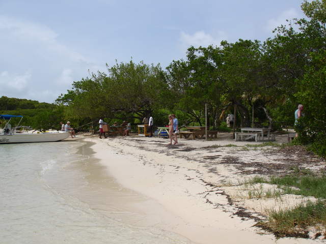 Bird Island lunch stop on Eco tour