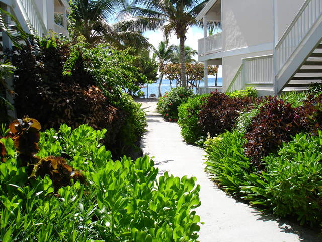 Pathway between buildings at Hotel