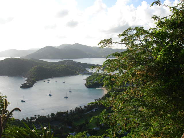 Looking back over E. Harbour from S. Heights