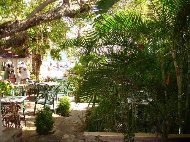 Tea anyone - area where afternoon tea served