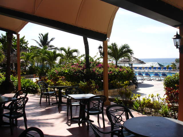 View of pool from Garden dinning room.