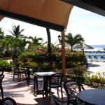View of pool from Garden dinning room.