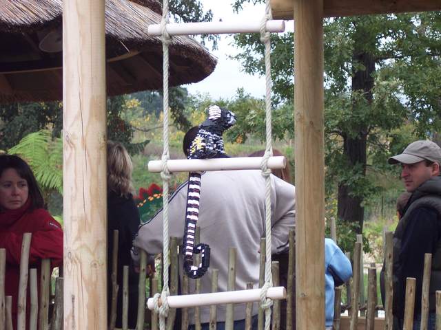 100_1157.jpg