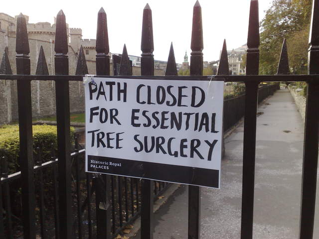 Essential Tree Surgery