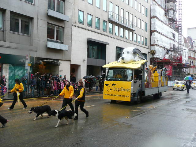 P1030098.JPG