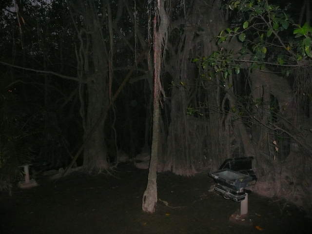 P1030295