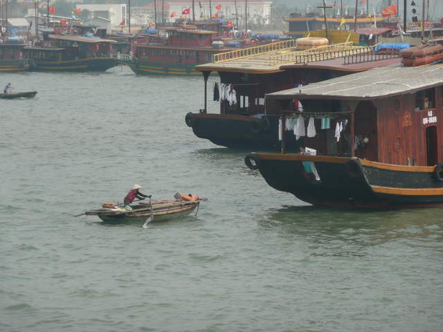 Boats on Ha Long Bay