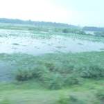 Hanoi to Hue