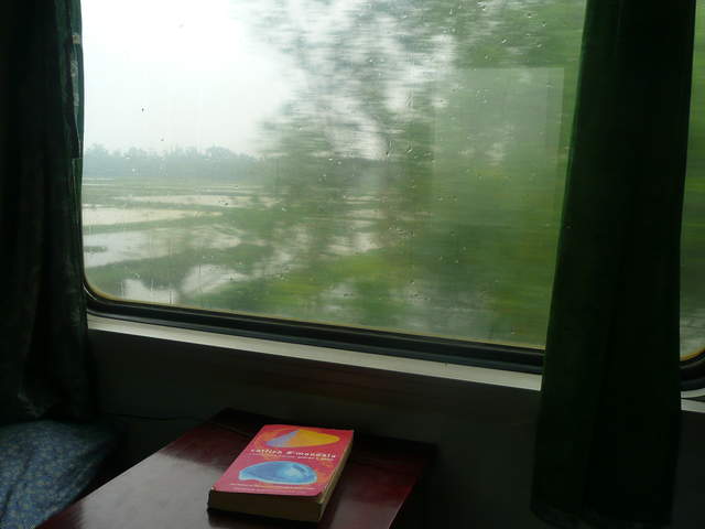 P1030302.JPG