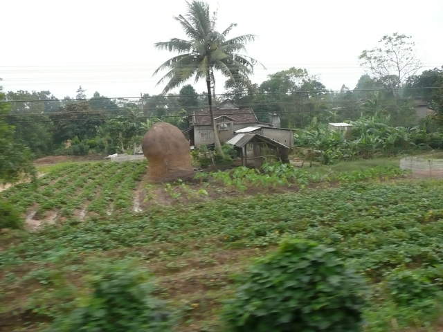 P1030305.JPG