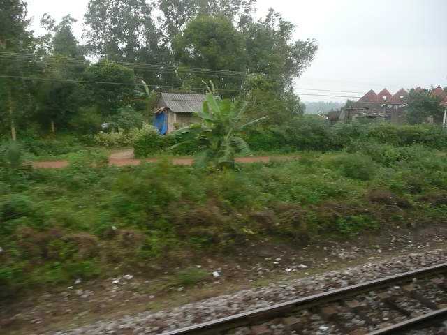 P1030308.JPG