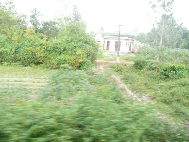 P1030309.JPG