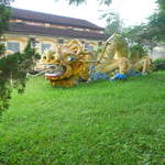 P1030325.JPG