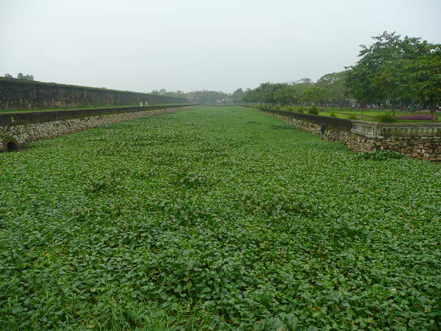 P1030330.JPG