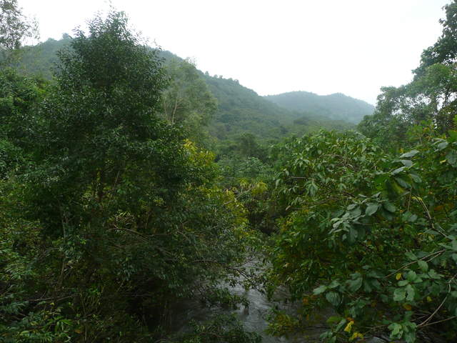 P1030430.JPG