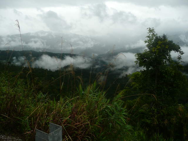 P1030433.JPG