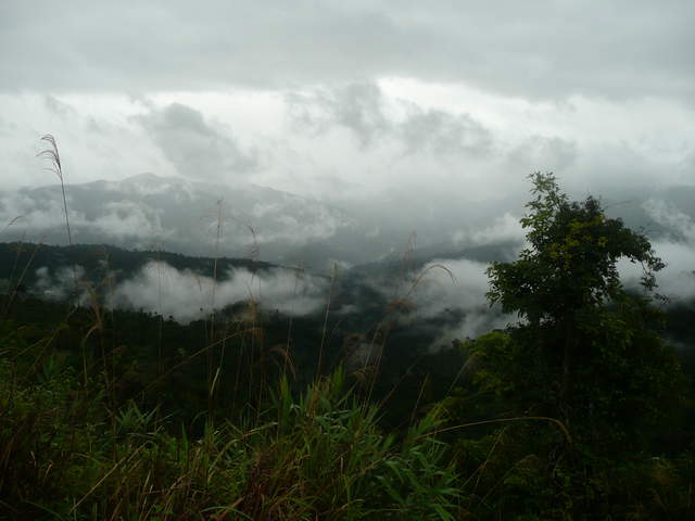 P1030434.JPG