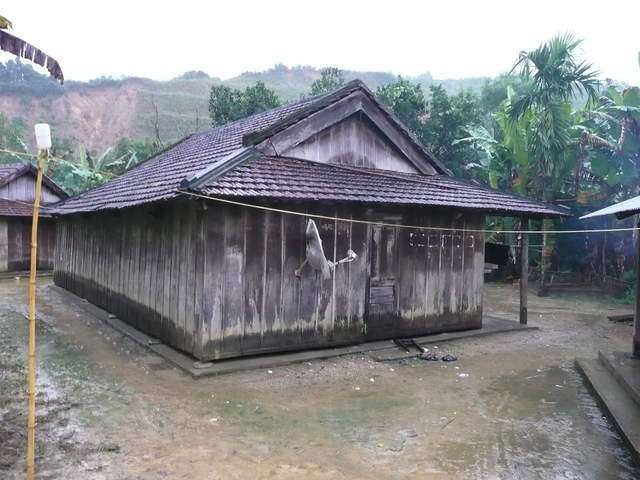 P1030439.JPG