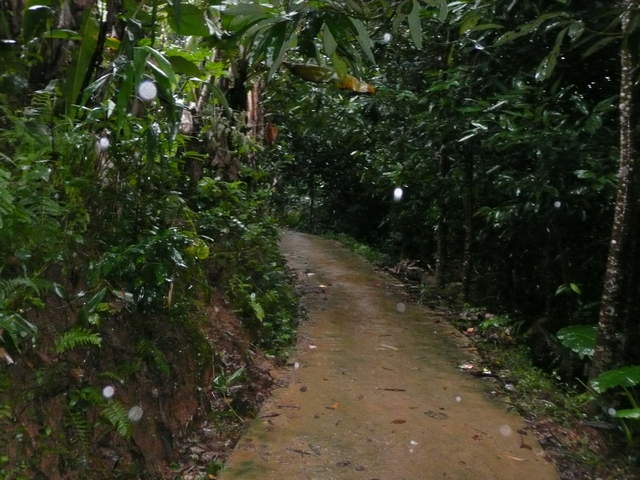 P1030442.JPG