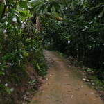 P1030442.JPG