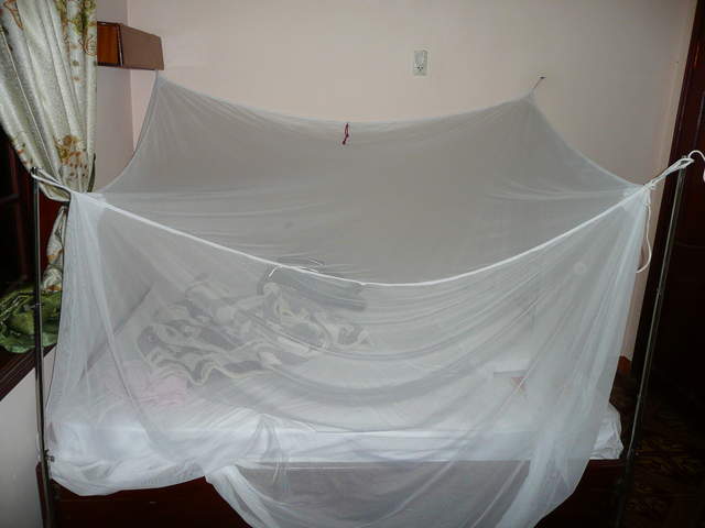 P1030449.JPG