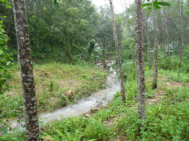 P1030458.JPG