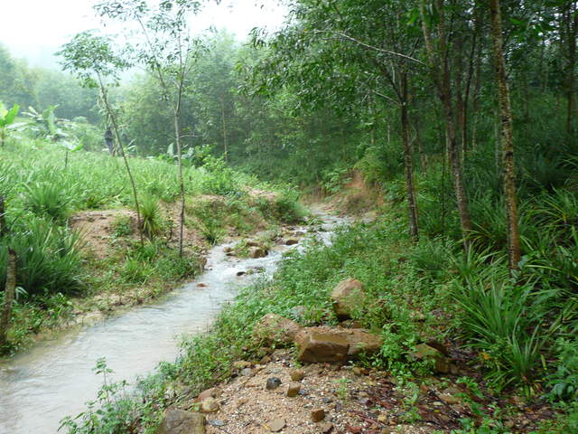 P1030459.JPG