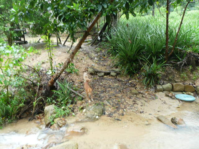 P1030460.JPG