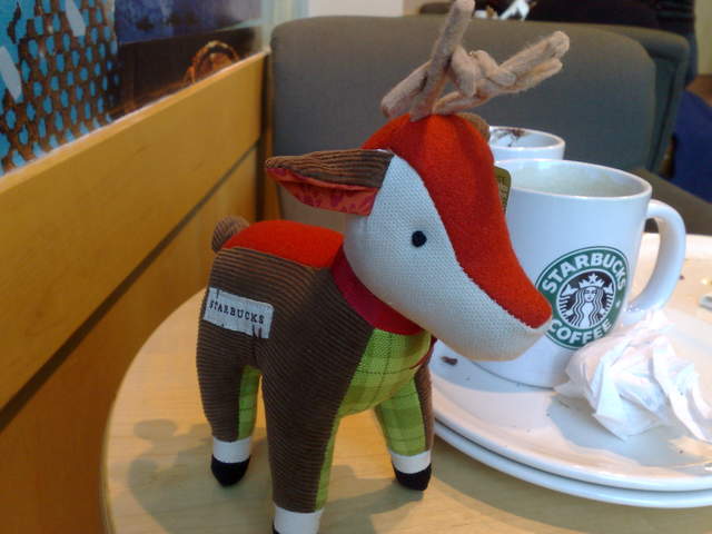 Starbucks Reindeer
