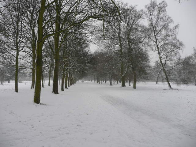 Cassiobury Park