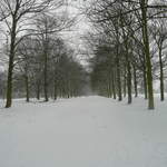 Cassiobury Park