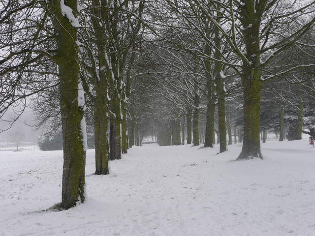 Cassiobury Park