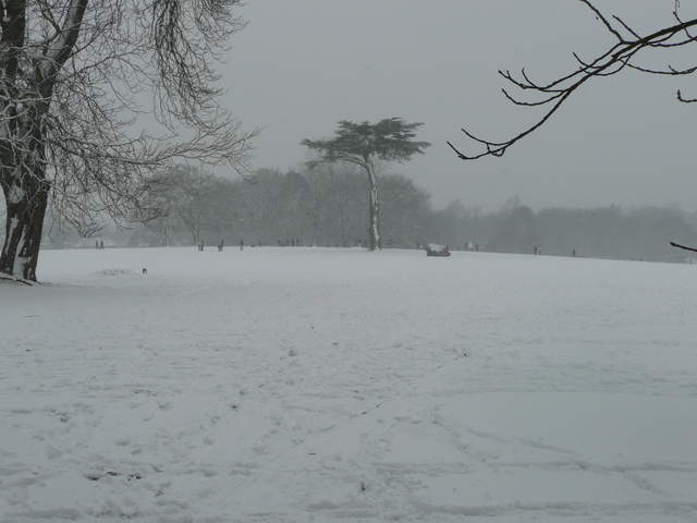 Cassiobury Park