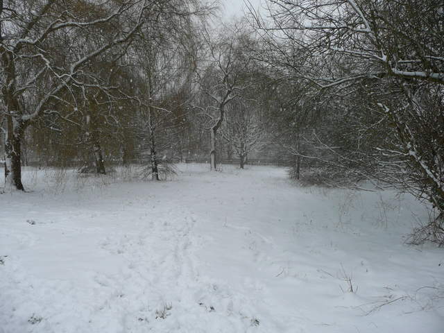 Cassiobury Park