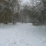 Cassiobury Park