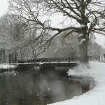 Cassiobury Park
