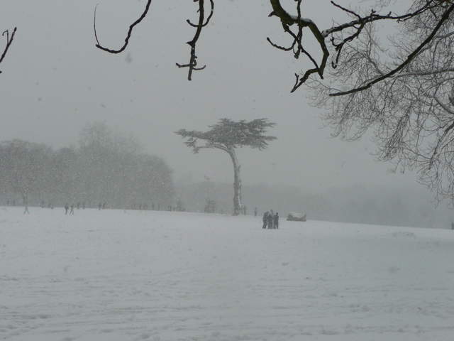 Cassiobury Park