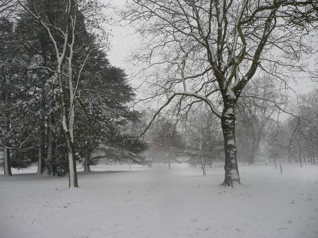 Cassiobury Park