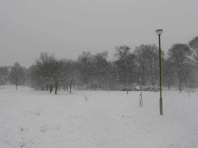 Cassiobury Park